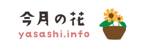 今月の花